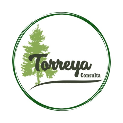 Torreya